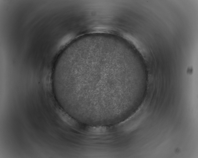 X0000103961403200809261800