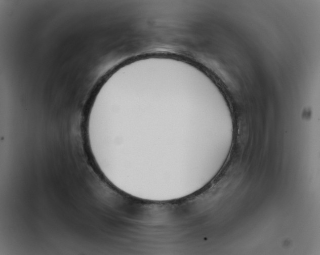 X0000103961404200809261800
