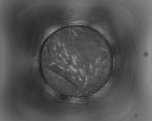 X0000103961405200809261800
