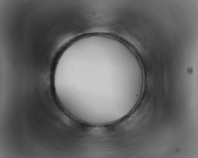 X0000103961406200809261800