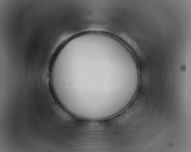 X0000103961408200809261800