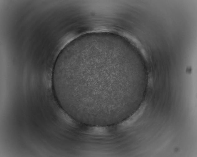 X0000103961409200809261800