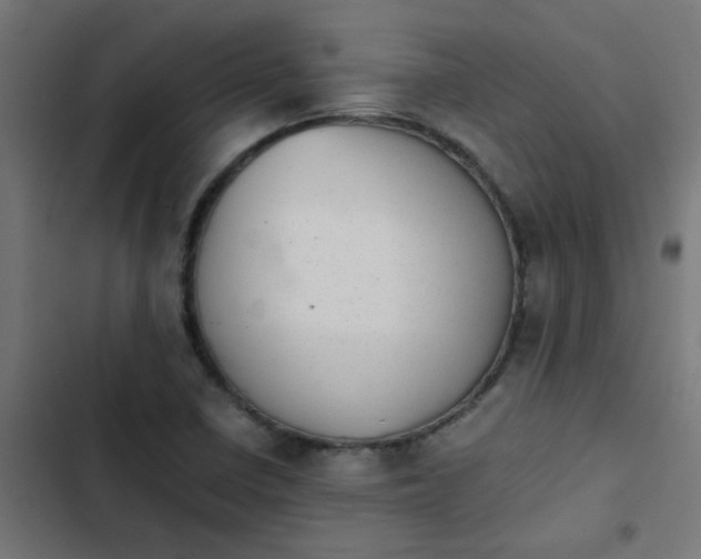 X0000103961410200809261800