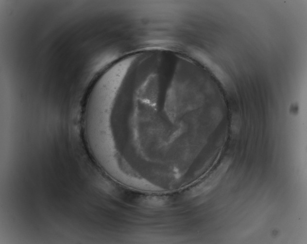 X0000103961411200809261800