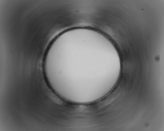 X0000103961412200809261800
