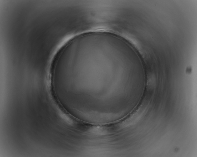 X0000103961414200809261800