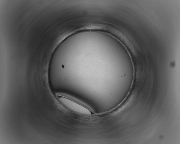 X0000103961417200809261800