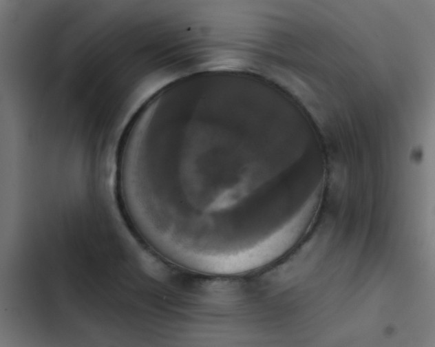 X0000103961418200809261800