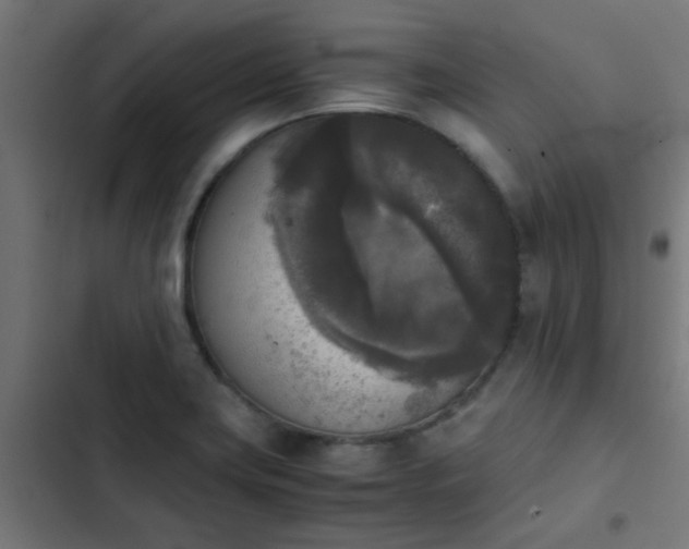 X0000103961419200809261800