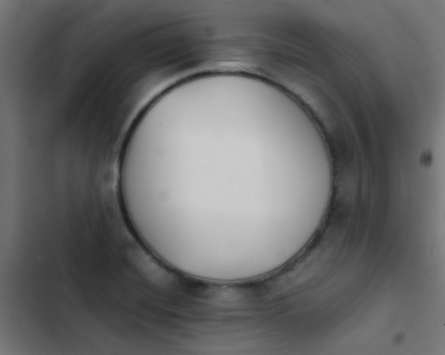 X0000103961420200809261800