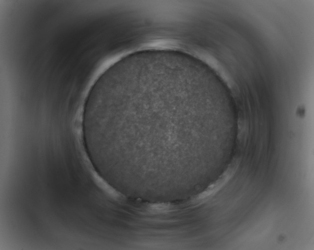 X0000103961421200809261800