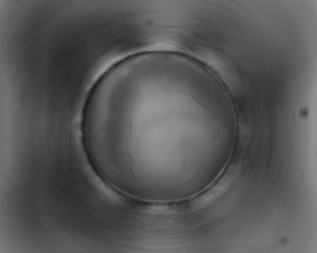 X0000103961422200809261800