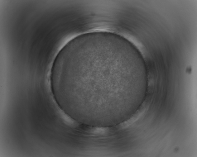 X0000103961423200809261800