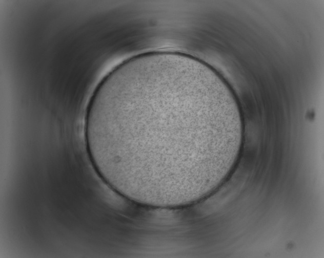 X0000103961424200809261800