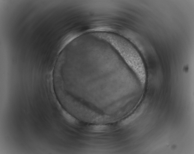 X0000103961425200809261800