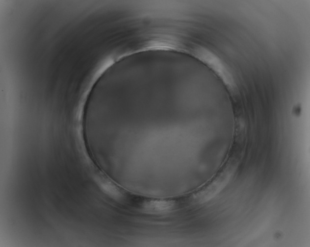 X0000103961427200809261800