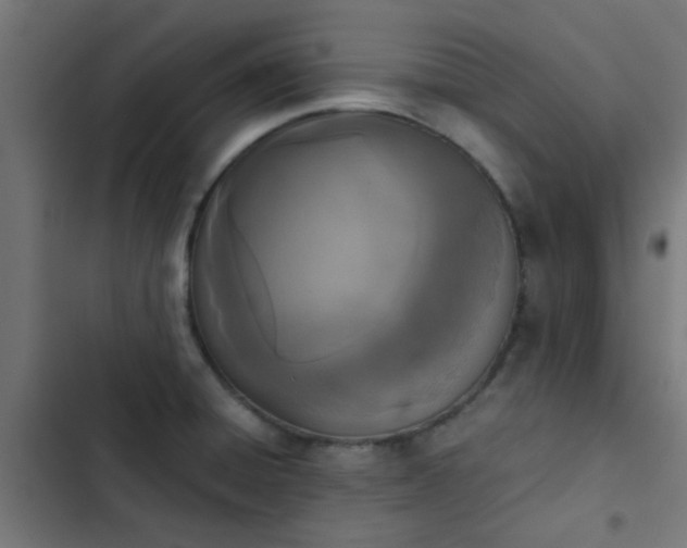 X0000103961428200809261800