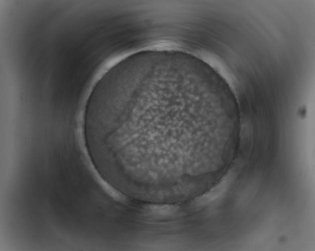 X0000103961429200809261800