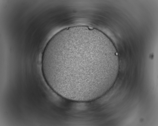 X0000103961431200809261800