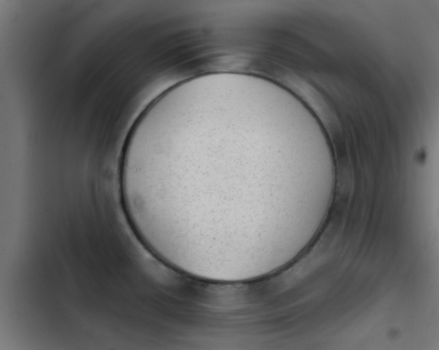 X0000103961434200809261800