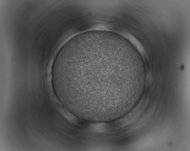 X0000103961435200809261800