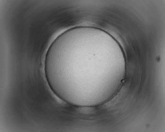 X0000103961437200809261800