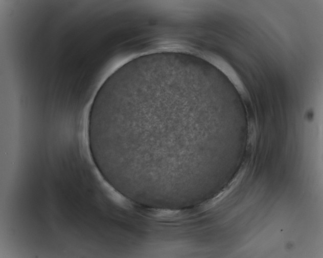 X0000103961439200809261800