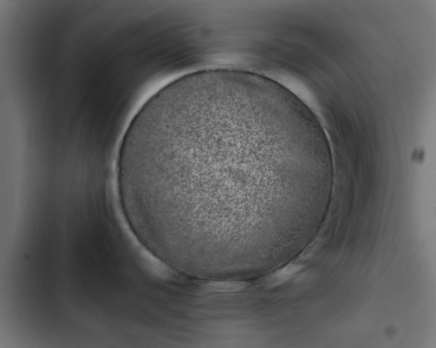 X0000103961440200809261801