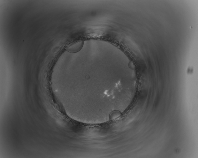 X0000103961441200809261800
