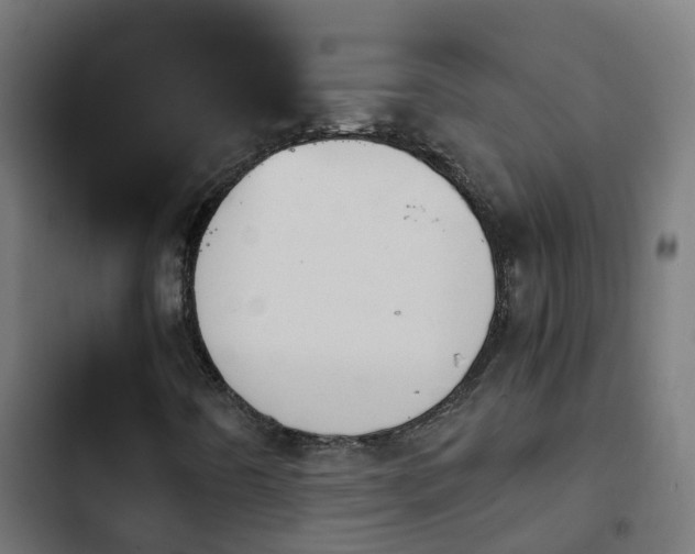 X0000103961442200809261800