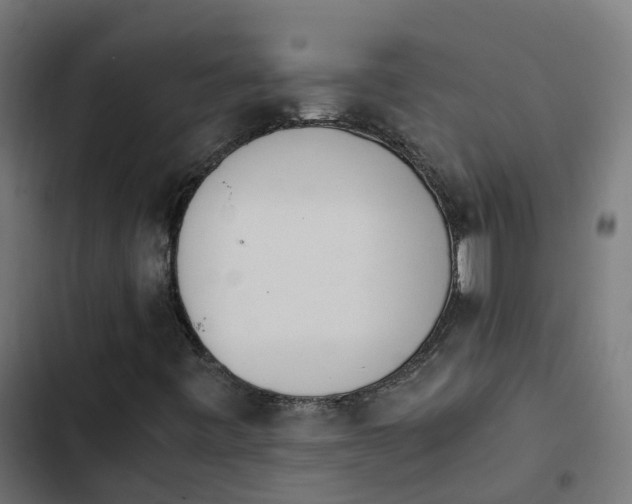X0000103961443200809261800