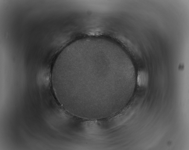 X0000103961444200809261800