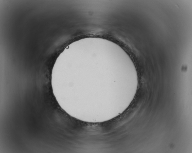 X0000103961447200809261800