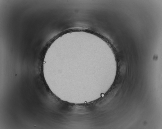 X0000103961448200809261800