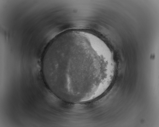 X0000103961449200809261800