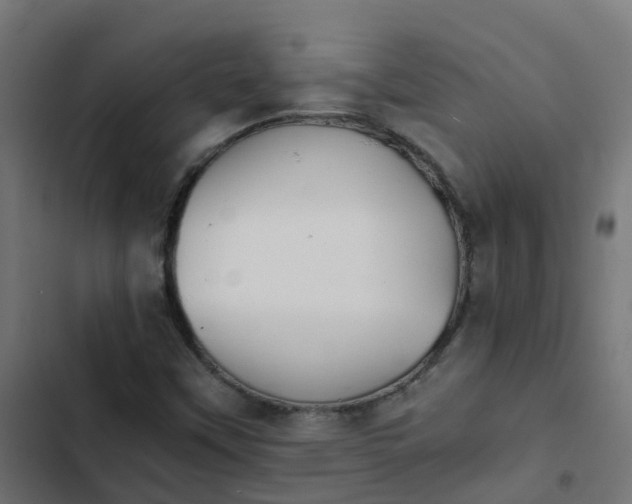 X0000103961451200809261800