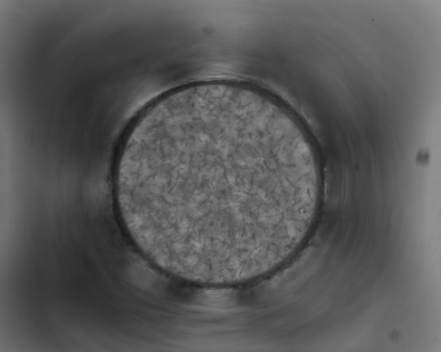 X0000103961453200809261800