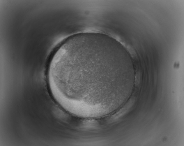 X0000103961454200809261800