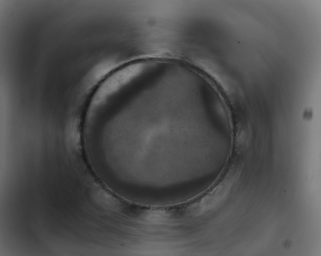 X0000103961455200809261800