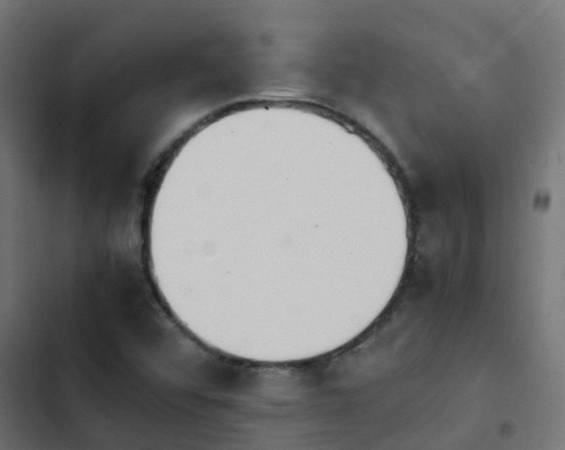 X0000103961456200809261800