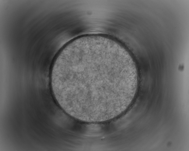 X0000103961457200809261800