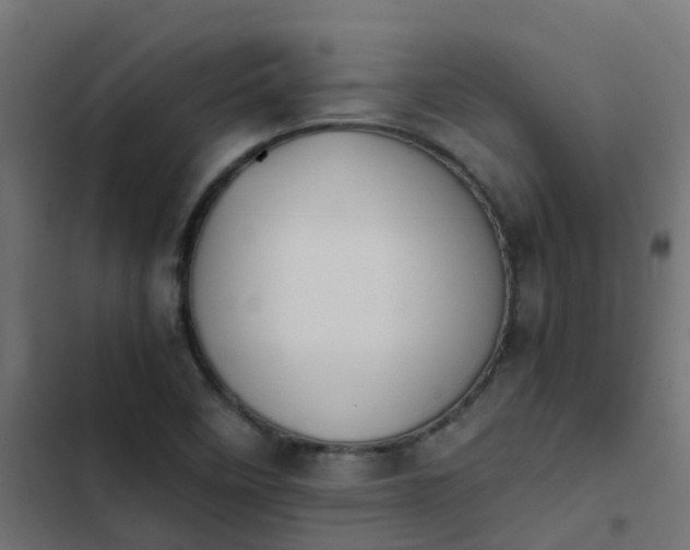 X0000103961458200809261800