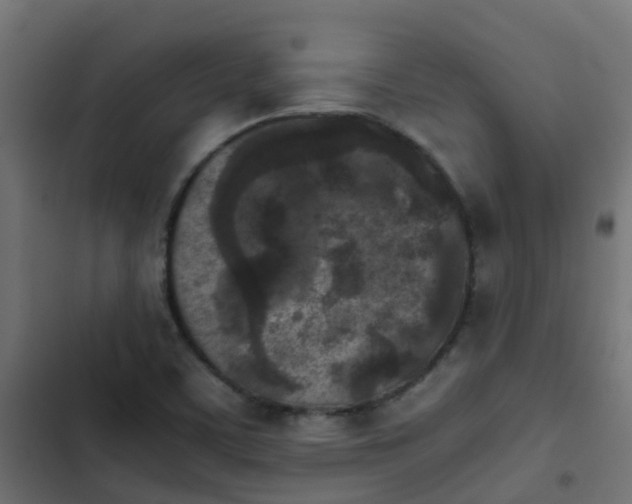 X0000103961459200809261800