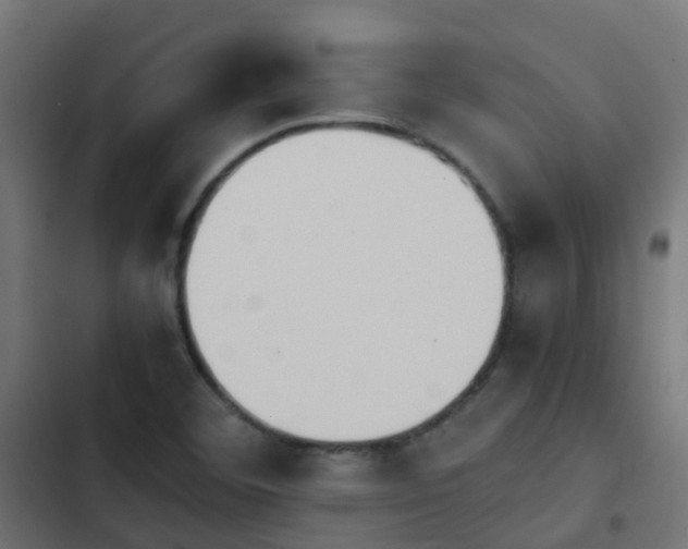 X0000103961460200809261800