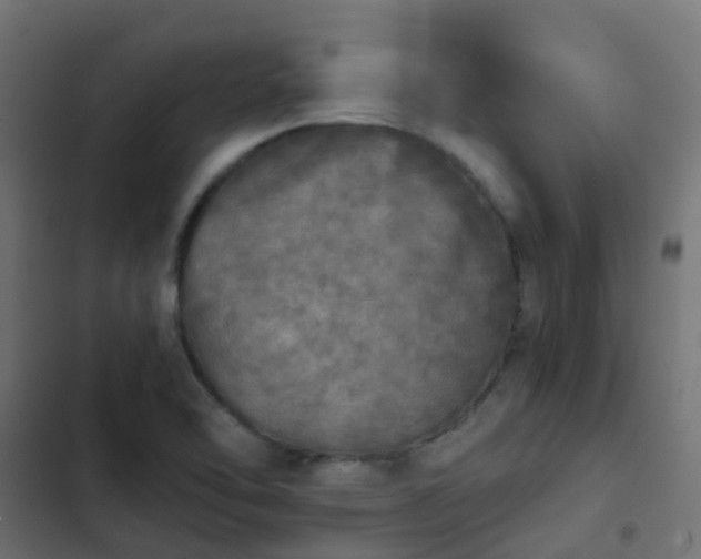 X0000103961462200809261800