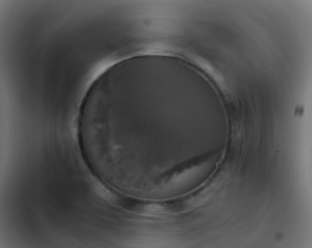 X0000103961463200809261800
