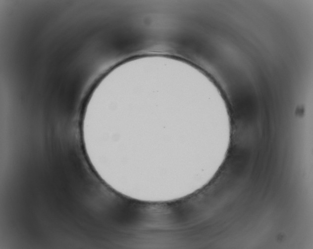 X0000103961464200809261759