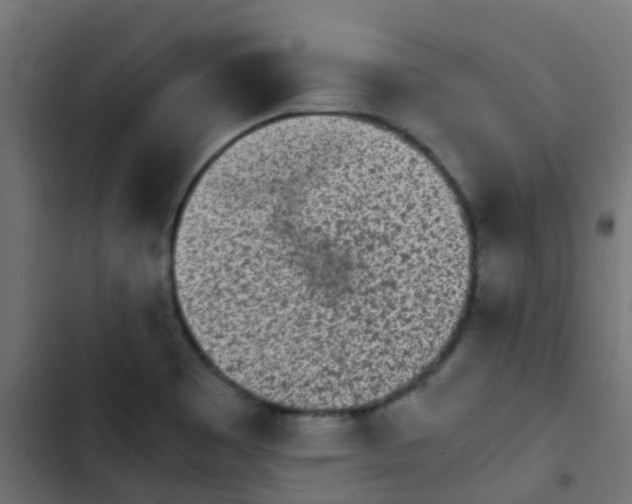 X0000103961465200809261759