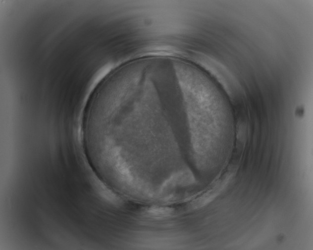 X0000103961466200809261759