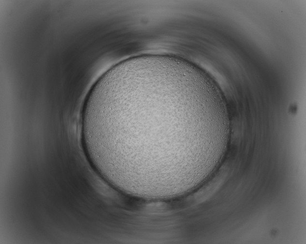 X0000103961467200809261759